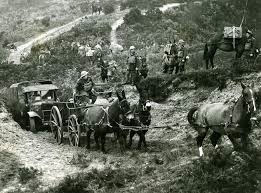Horse-drawn transport in WW1