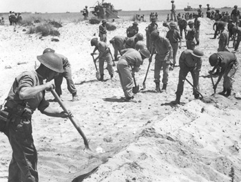 Pioneers constructing a road to lead off the landing beaches at Anzio, January 1944
